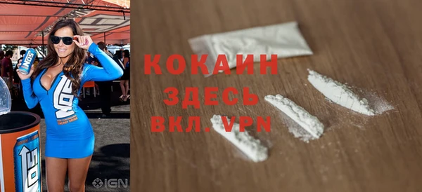 индика Абаза