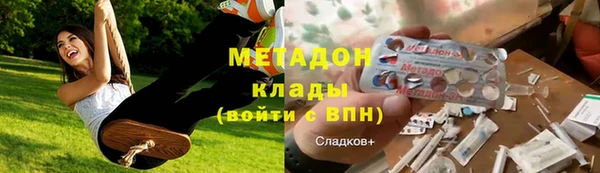 индика Абаза