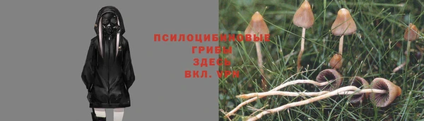 индика Абаза