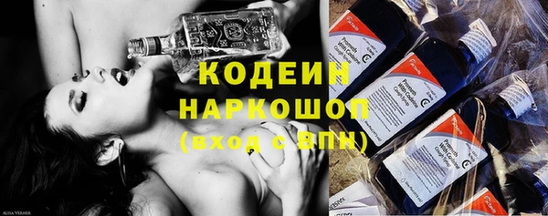 индика Абаза