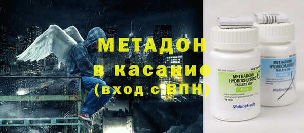 индика Абаза