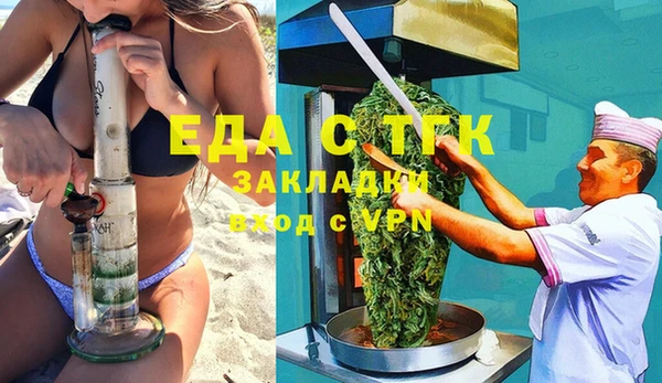 индика Абаза