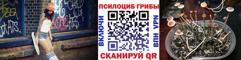 купить наркоту  Сорочинск  Галлюциногенные грибы Psilocybe 
