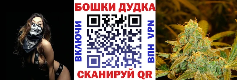 Канабис план  hydra зеркало  Сорочинск 